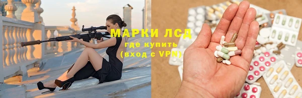 ПСИЛОЦИБИНОВЫЕ ГРИБЫ Осинники