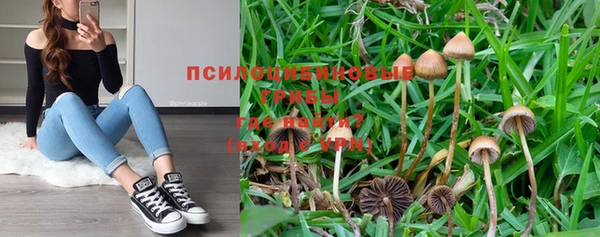 марки nbome Пестово