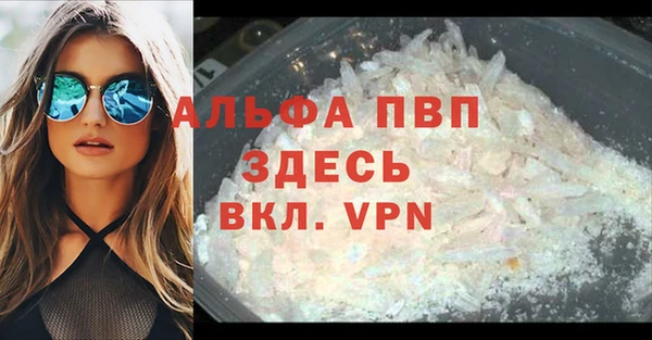 ПСИЛОЦИБИНОВЫЕ ГРИБЫ Осинники