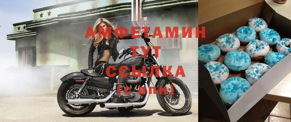 ПСИЛОЦИБИНОВЫЕ ГРИБЫ Осинники