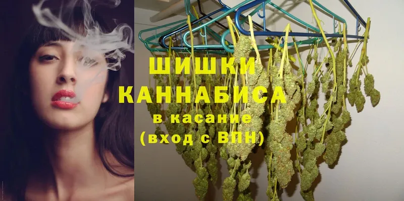 Канабис план  Белинский 